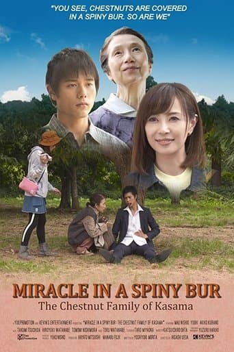 Movie poster for Miracle in Kasama
