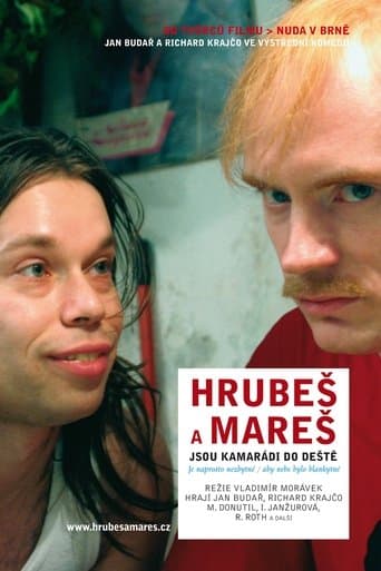 Movie poster for Hrubeš a Mareš jsou kamarádi do deště
