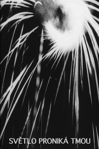 Movie poster for The Light Penetrates the Dark