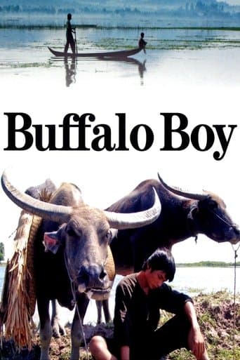 Movie poster for Buffalo Boy