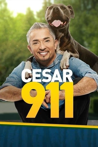 Movie poster for Cesar 911