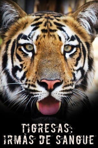 Movie poster for Tigress Blood