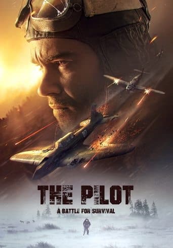 Movie poster for The Pilot: A Battle for Survival