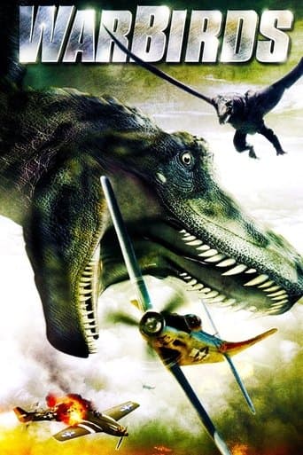 Movie poster for Warbirds