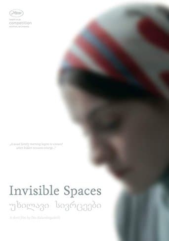 Movie poster for Invisible Spaces