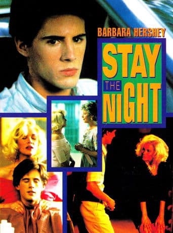 Movie poster for Stay the Night