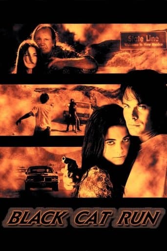 Movie poster for Black Cat Run