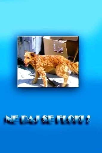 Movie poster for Don't Give in, Flockey!