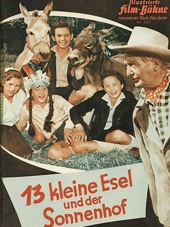 Movie poster for 13 Little Donkeys and the Sun Court
