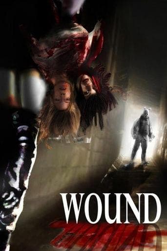 Movie poster for Wound