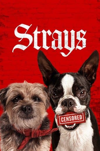 Movie poster for Strays