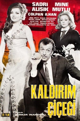 Movie poster for Kaldırım Çiçeği