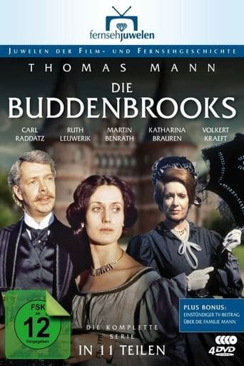 Movie poster for Buddenbrooks