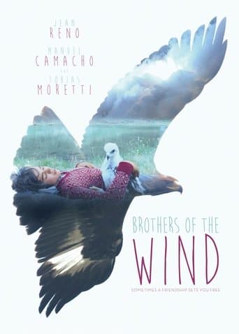 Movie poster for Brothers of the Wind