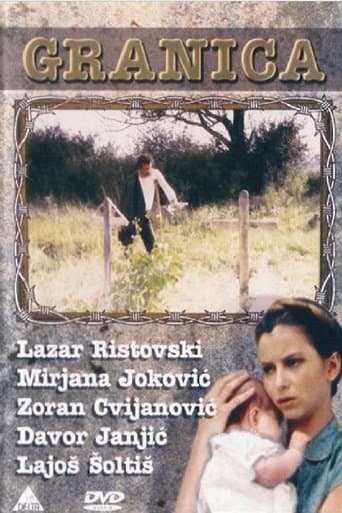 Movie poster for The Border