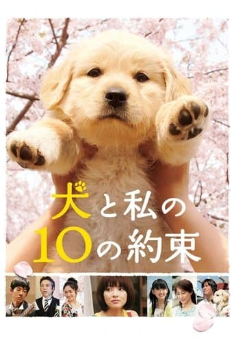 Movie poster for 10 Promises to My Dog