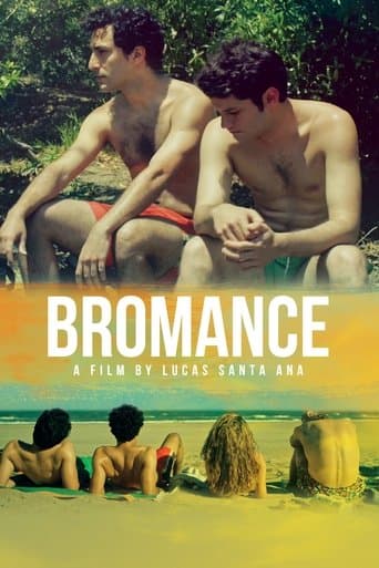 Movie poster for Bromance