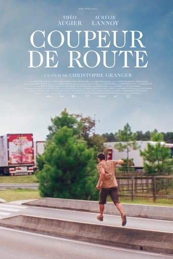 Movie poster for Roadtripper