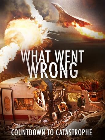 Movie poster for What Went Wrong: Countdown To Catastrophe