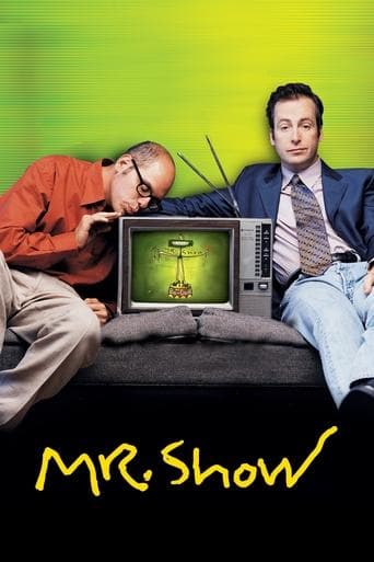 Movie poster for Mr. Show with Bob and David
