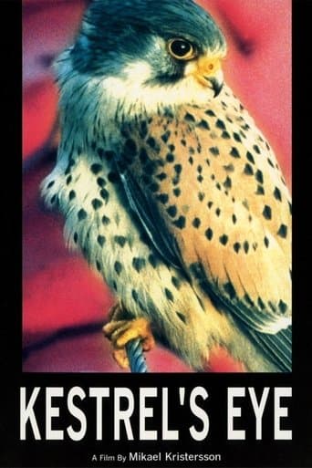 Movie poster for Kestrel's Eye