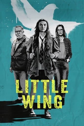Movie poster for Little Wing
