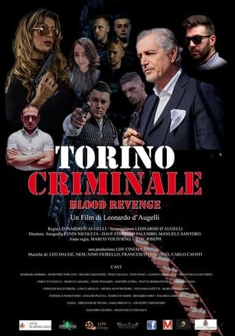 Movie poster for Torino Criminale Blood Revenge