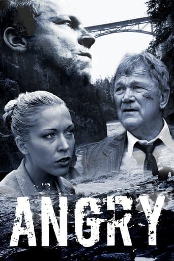 Movie poster for Angry