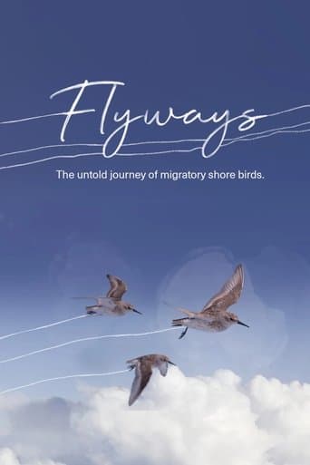 Movie poster for Flyways