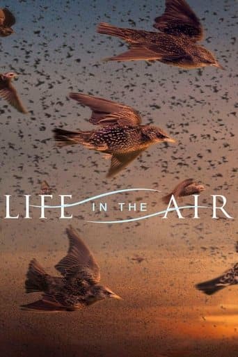 Movie poster for Life in the Air