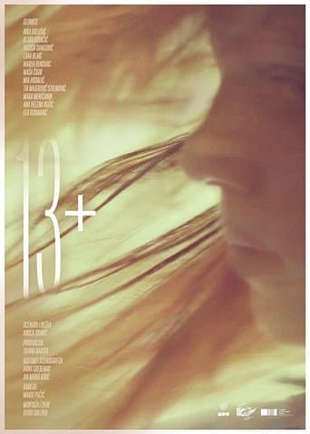 Movie poster for 13+