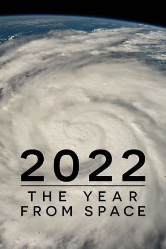 Movie poster for 2022: The Year from Space