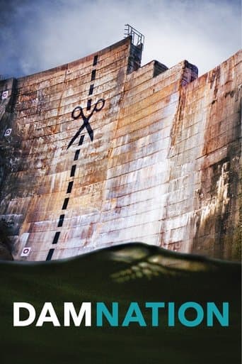 Movie poster for DamNation