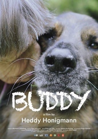 Movie poster for Buddy