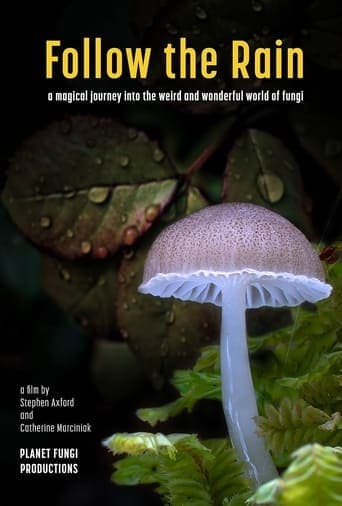Movie poster for Follow the Rain