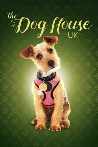 Movie poster for The Dog House