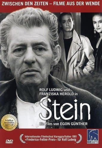 Movie poster for Stein