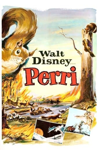 Movie poster for Perri