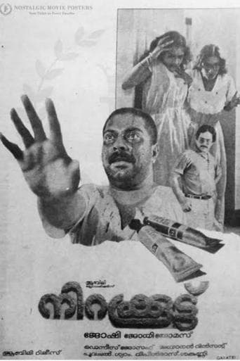 Movie poster for Nirakkoottu