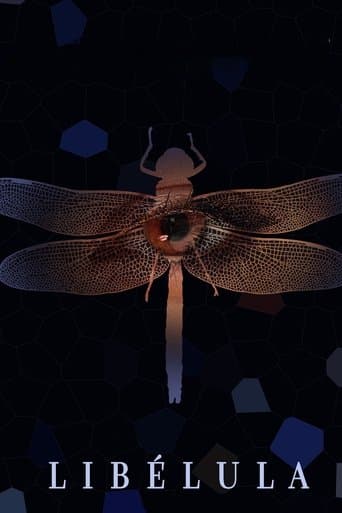 Movie poster for Libélula