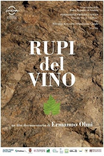 Movie poster for Wine Cliffs