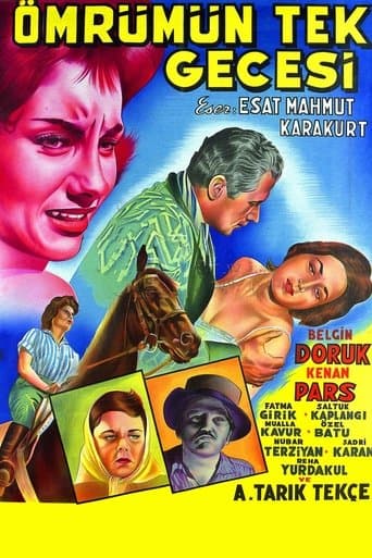 Movie poster for Ömrümün Tek Gecesi