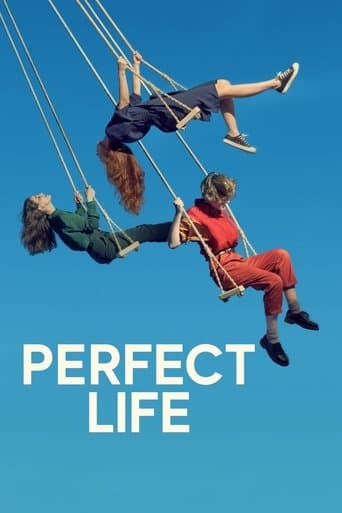Movie poster for Perfect Life