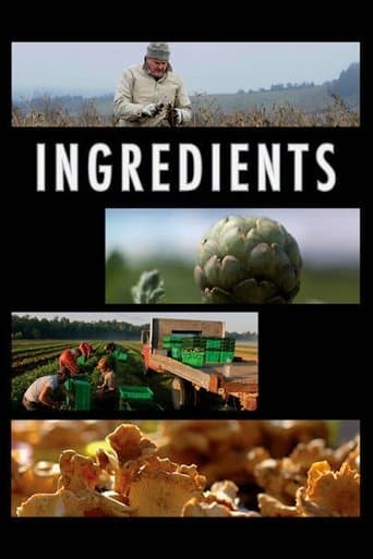 Movie poster for Ingredients