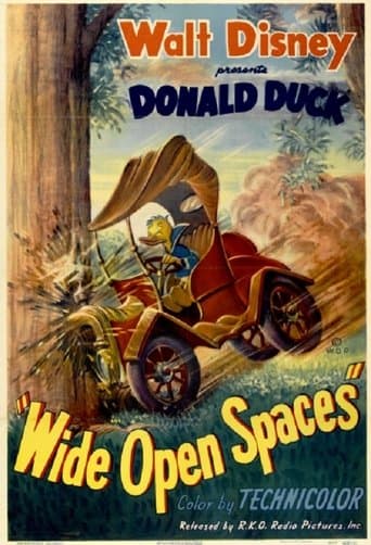 Movie poster for Wide Open Spaces