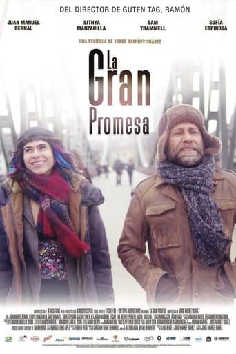 Movie poster for The Big Promise