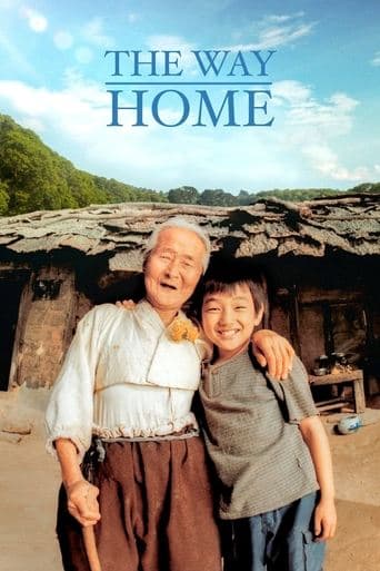 Movie poster for The Way Home