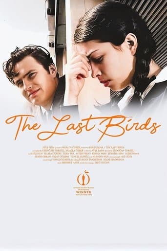 Movie poster for The Last Birds