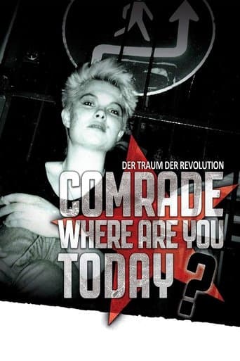 Movie poster for Comrade, Where Are You Today?