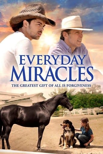 Movie poster for Everyday Miracles